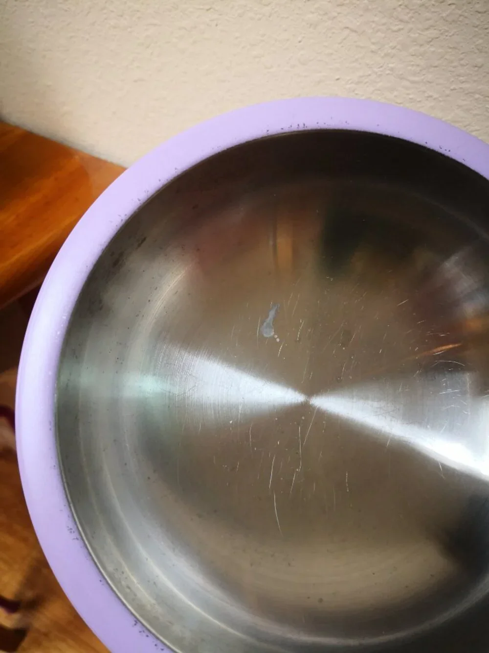 Wild One Stainless Steel Dog Bowl & Mat Lilac/Lavendar